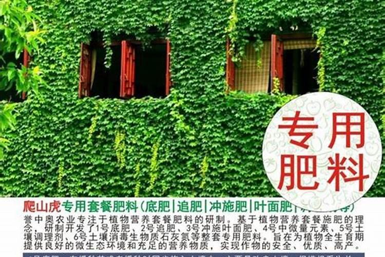 植物叶子用什么肥料能变大变厚？