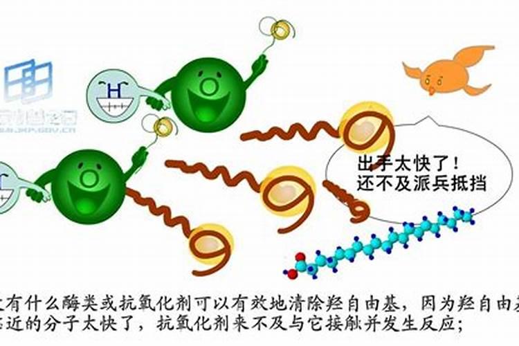 请教为啥我的多肉就是养不肥