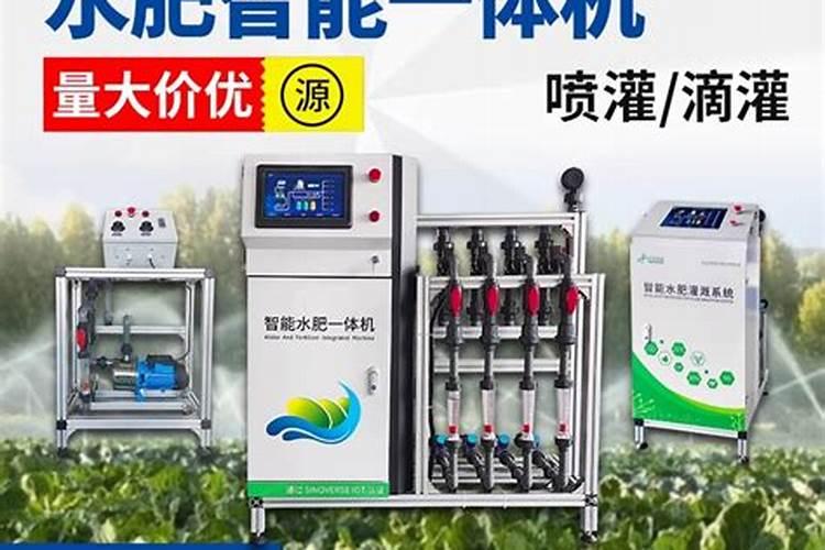 如何种好越夏黄瓜 黄瓜怎么管理水肥