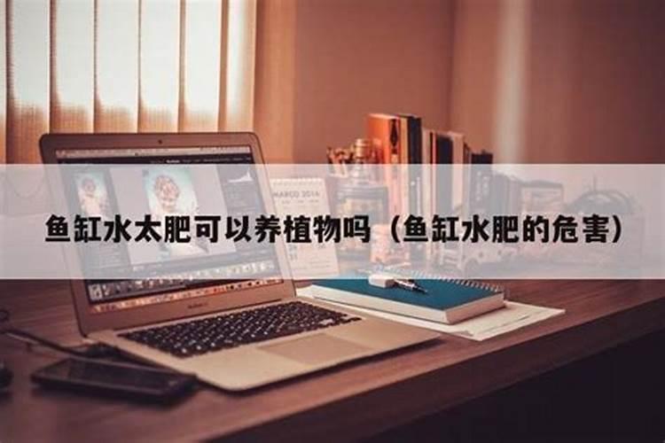 养鱼怎养好水？？？