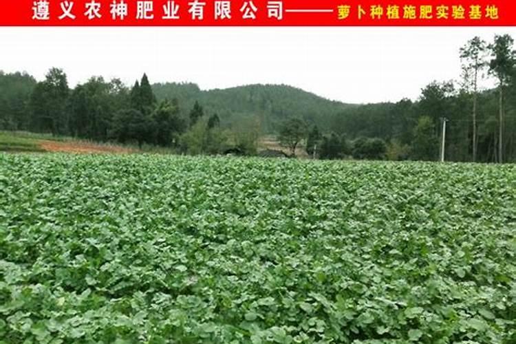 农业增效有“路”,农民增收有“方”