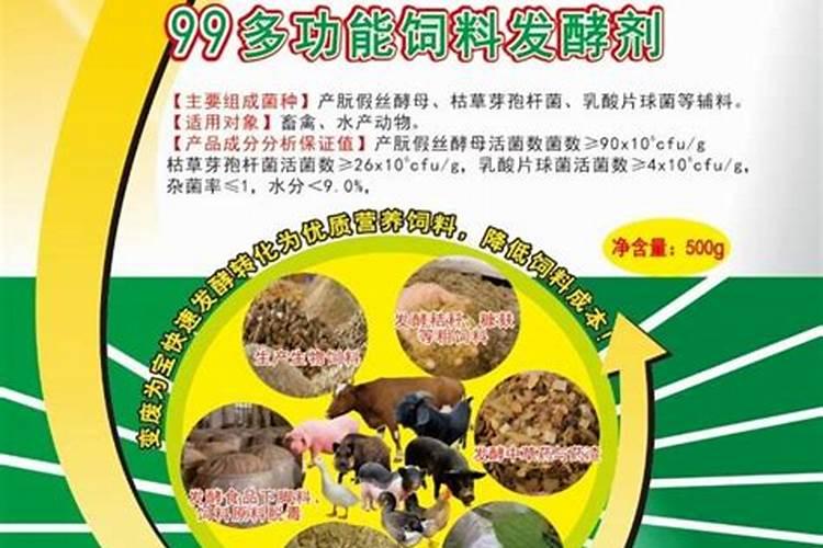 干树叶可以做肥料吗
