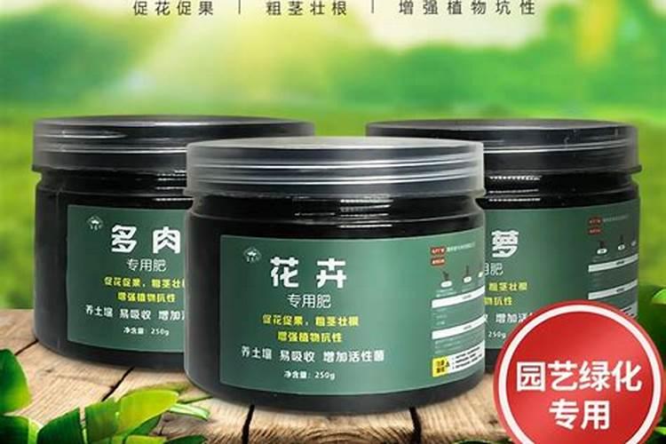 多肉用什么肥料比较好
