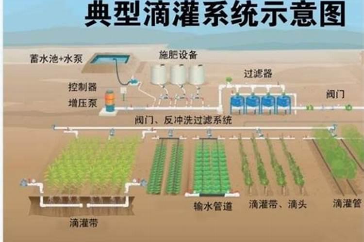 水容肥多长时间见效
