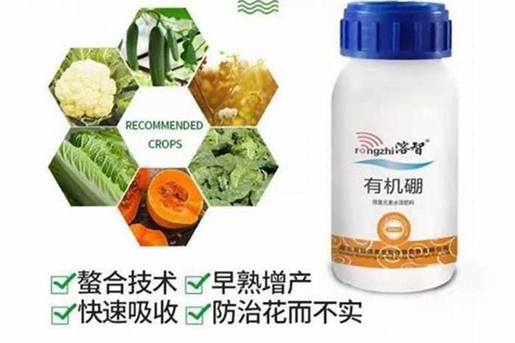 柑橘靠接长芽打什么叶面肥？