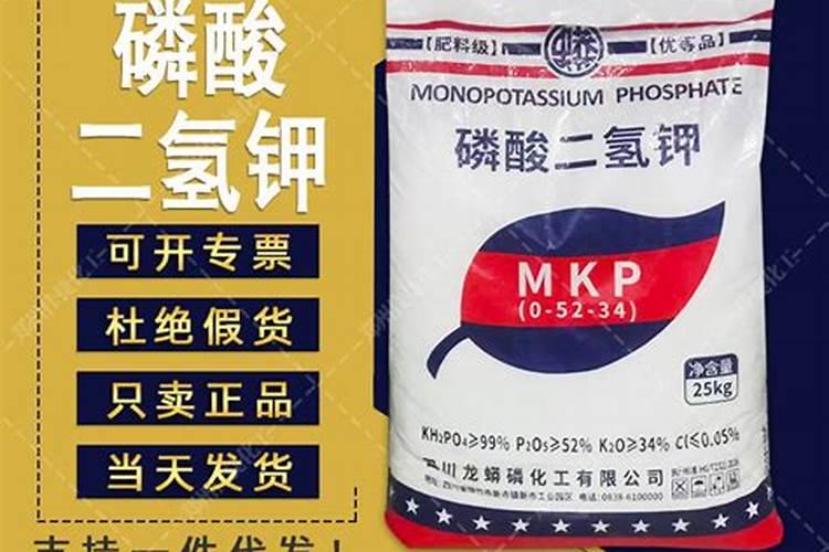 龟背竹能浇磷酸二氢钾吗方法是什么