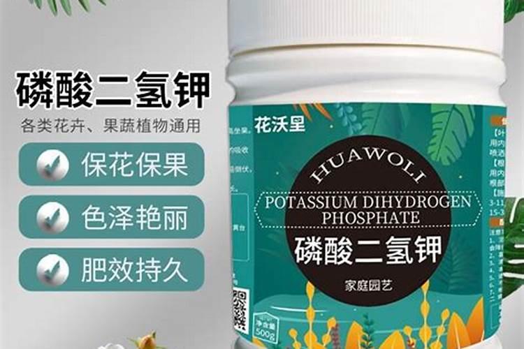 长寿花能用磷酸二氢钾肥吗花卉百科