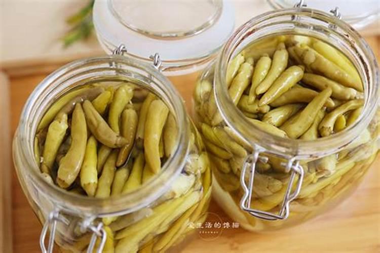 秋辣椒九月怎样种植秋辣椒九月种植技术