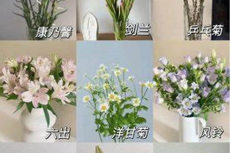 番茄开花阶段使用什么叶面肥效果好？