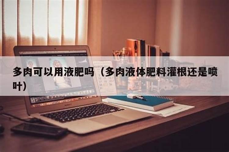磷酸二氢钾养多肉效果
