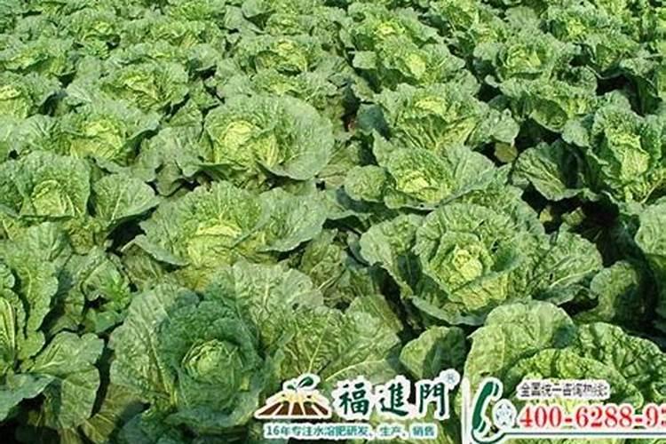 中量元素篇:各种元素的生理作用以及元素缺乏症状表现