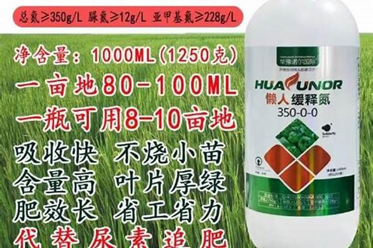 落地生根怎么施肥