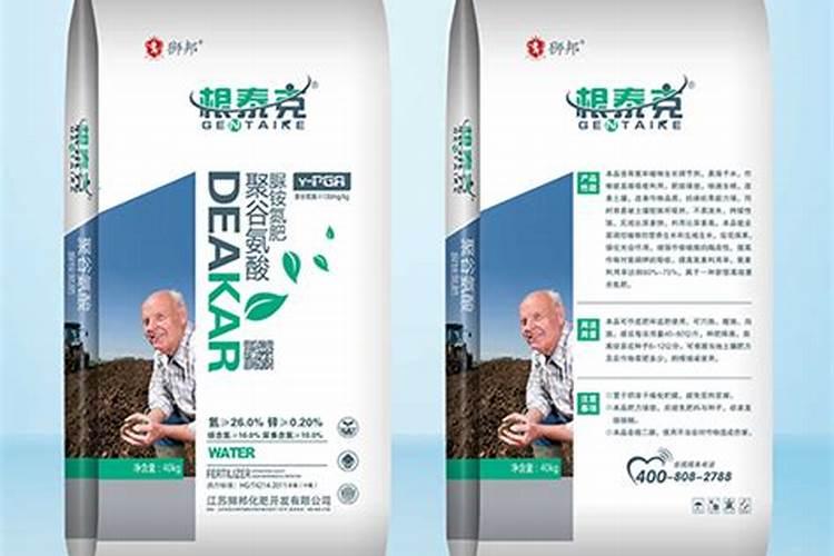 仙人掌怎么养才能肥壮