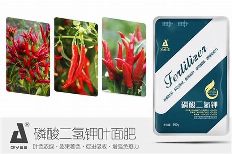 青椒种植叶面肥很关键,该怎么施肥？