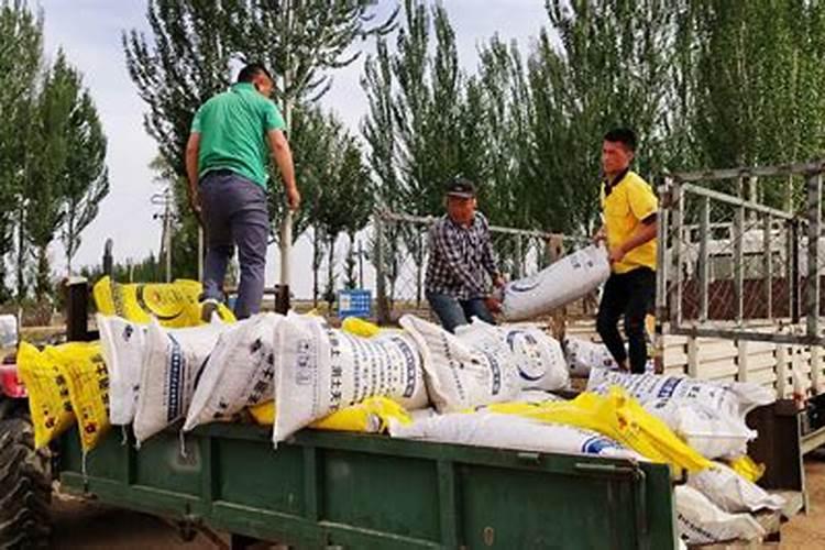 肥料施到地里好几天不化,真的是买到假化肥了吗？