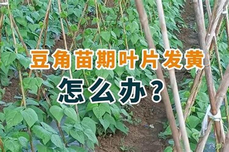 佰姿妍产品介绍