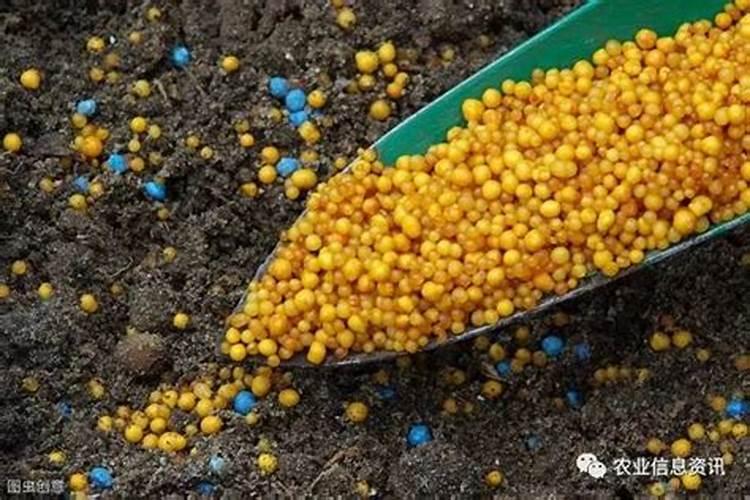 大田作物开春补钙很重要,原因是什么呢？