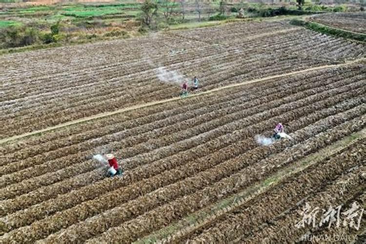 酸性土壤改良方法用什么肥 土壤酸性过高怎么施肥改良