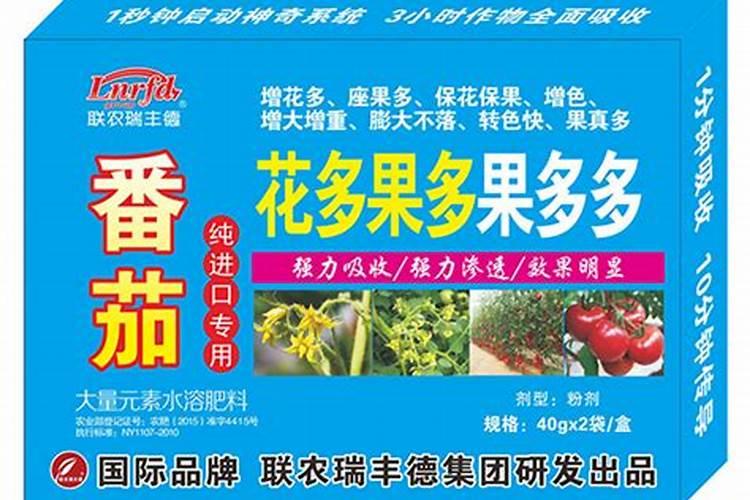 沧州啥时科蚕豆