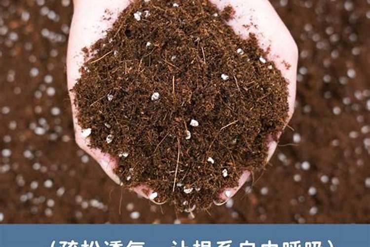 硼砂可以做肥料吗