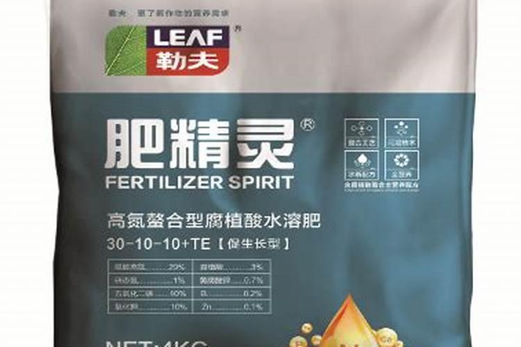 西红柿的种植用什么肥料好
