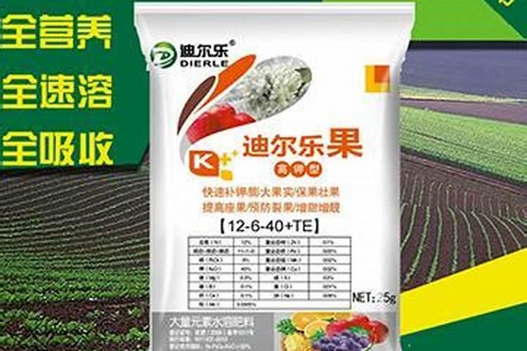 萝卜生长发育周期分为哪几个阶段