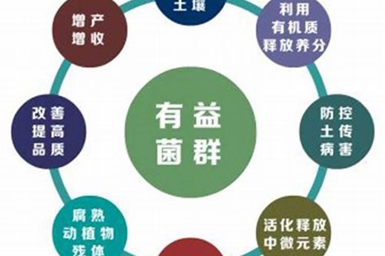土壤杀菌剂有哪些