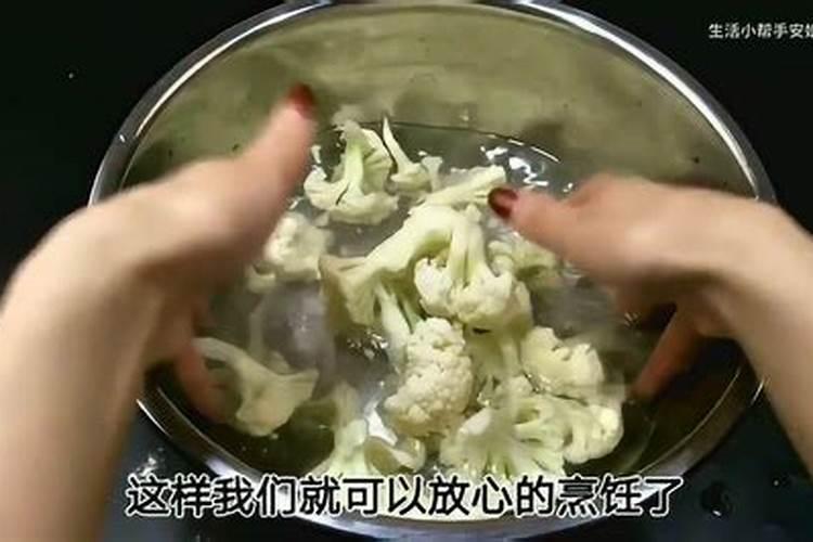 育的花菜白菜包菜苗出土后多少天可打点叶面肥？