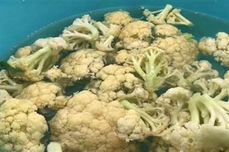 花菜为什么水泡多了。叶子全部都睡地下了