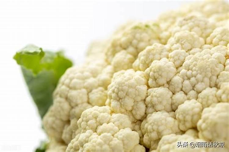 种花菜用什么肥料最好