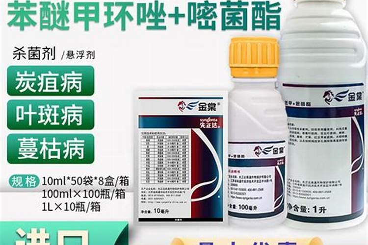 辣椒苗烂叶子,是什么病,怎么治