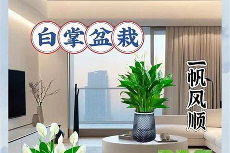 禁食成年患者每天正确的水与电解质补充量为