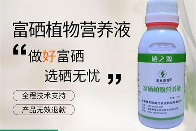 富硒小麦种植,小麦施用硒肥方法及效果