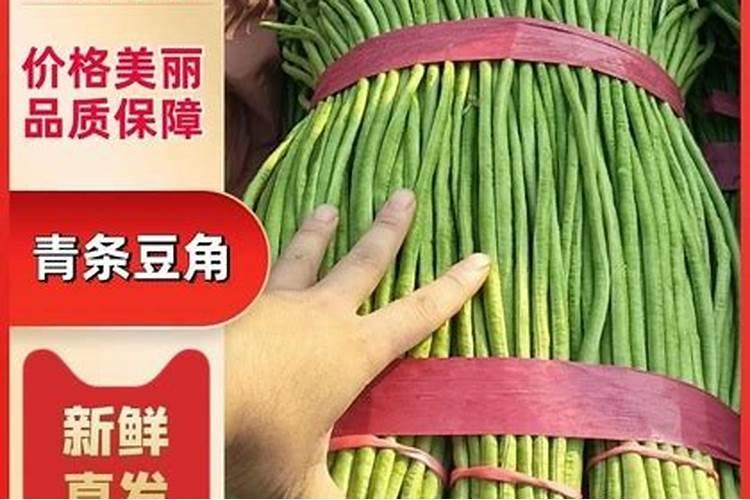 请问专家这肥冲豆角可以吗