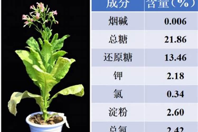 烟草生长对养分的要求是怎样的？