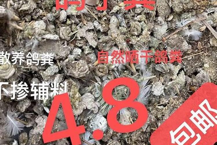 鸟粪可以当肥料吗？