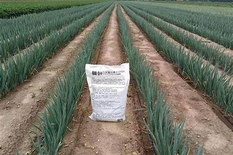 过量施氮肥对蔬菜的危害主要有哪些