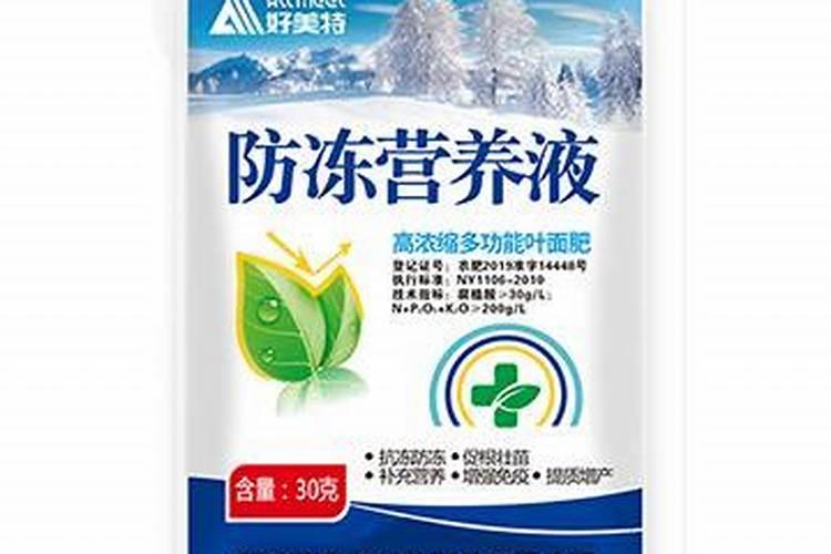 大蒜无氧呼吸产生什么