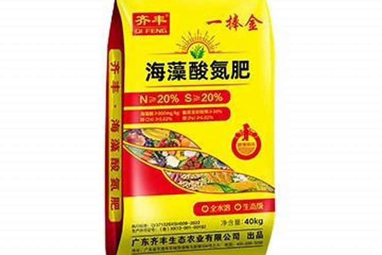 石斛兰水培好还是土培好