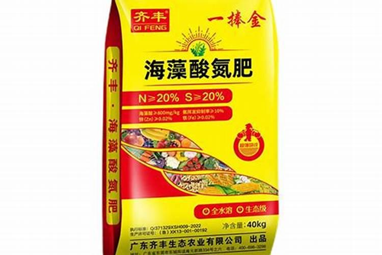 海藻怎么养长的好