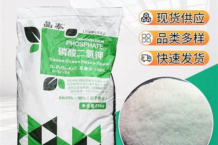 种油葵用什么肥料好