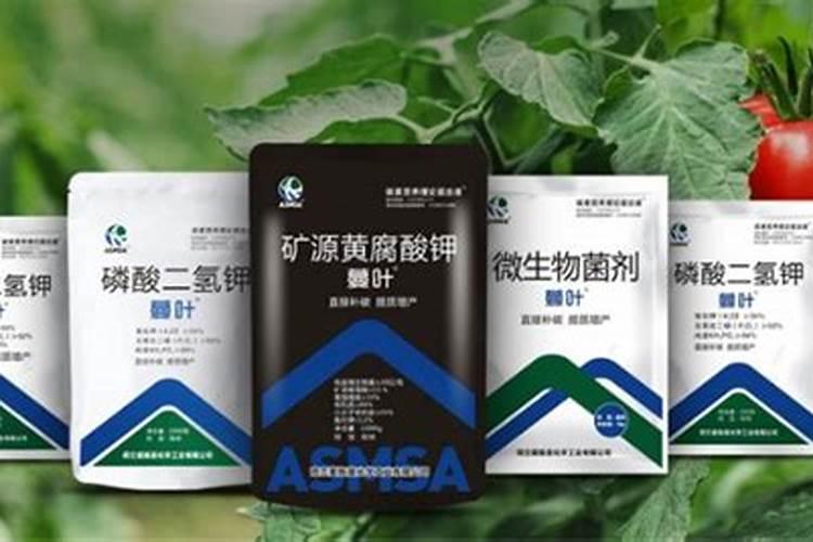 谷子用什么复合肥
