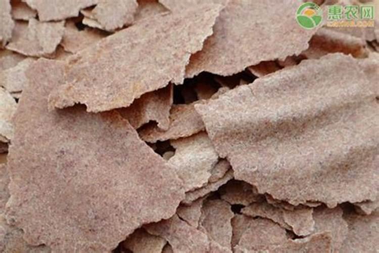 花生麸不发烤能撒柑橘做肥料吗？