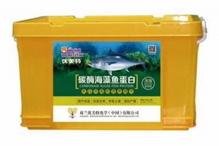 碳酶海藻鱼蛋白什么时候使用最好