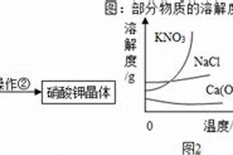 水榕怎么养 水榕的养殖方法