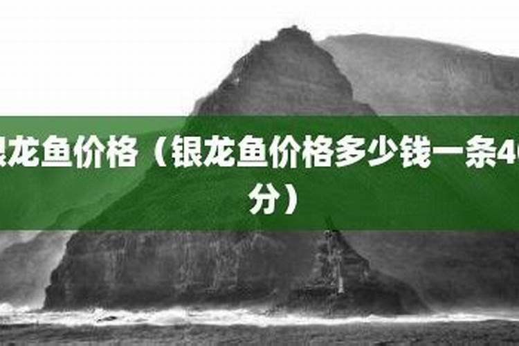 侣行家公寓:你是我未能遗忘的远方——丽江
