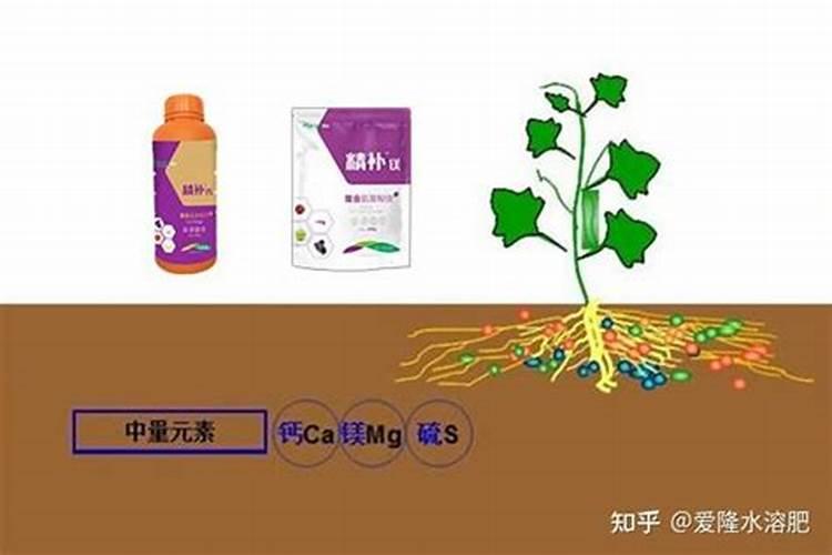 平衡水溶肥配方