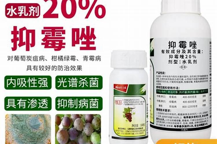 氮肥在水稻有什么作用