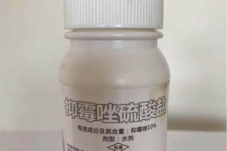 樱花树有白粉病用什么样箹治疗