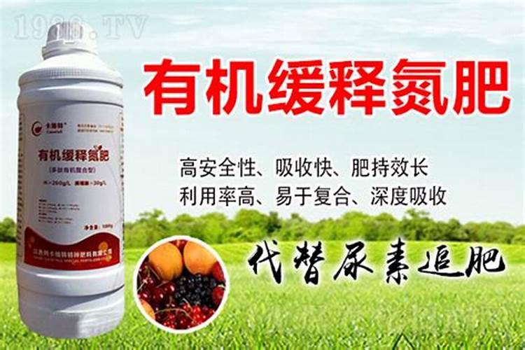 茄子苗期要怎么养殖 什么是蹲苗